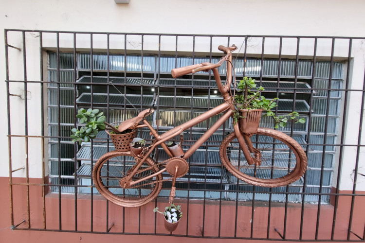 Clube de Ciências revitaliza escola e incentiva empreendedorismo em Colombo