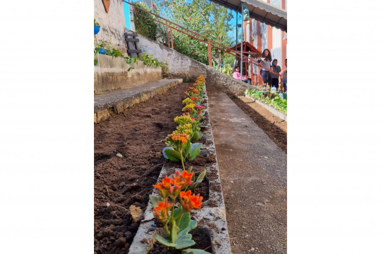 Clube de Ciências revitaliza escola e incentiva empreendedorismo em Colombo