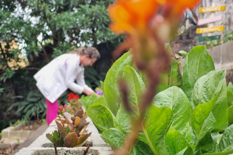 Clube de Ciências revitaliza escola e incentiva empreendedorismo em Colombo
