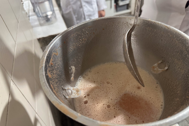 Polpas de frutas nativas enriquecem a merenda nas escolas estaduais do Paraná