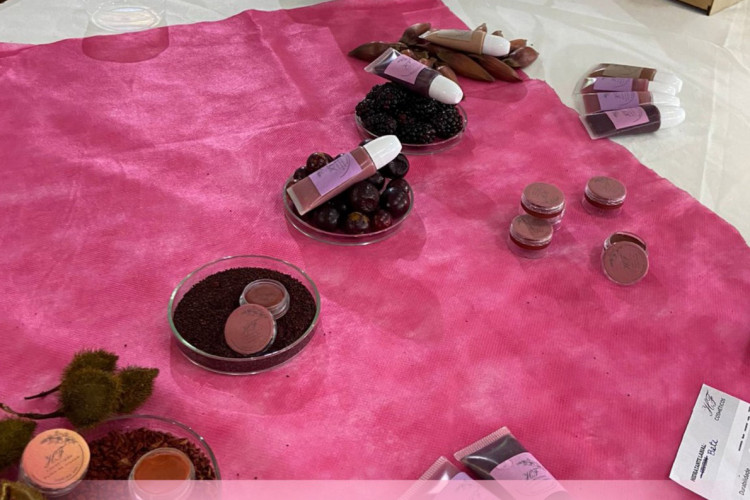 Alunos da rede pública de Mangueirinha transformam horta em laboratório de cosméticos