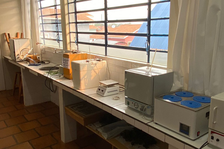 Estudantes de Mangueirinha transformam horta escolar em laboratório de cosméticos