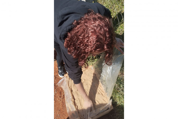 Alunos de colégio estadual em Arapoti transformam lixo orgânico em adubo para horta