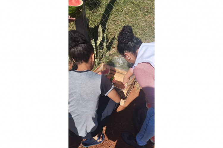 Alunos de colégio estadual em Arapoti transformam lixo orgânico em adubo para horta