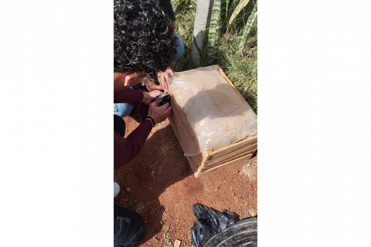 Alunos de colégio estadual em Arapoti transformam lixo orgânico em adubo para horta