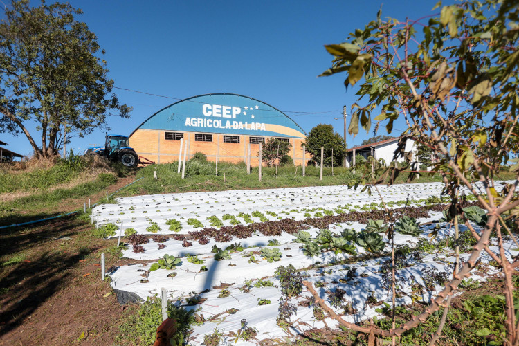 Cooperativa-escola: novo modelo de ensino agrícola transforma educação do Paraná