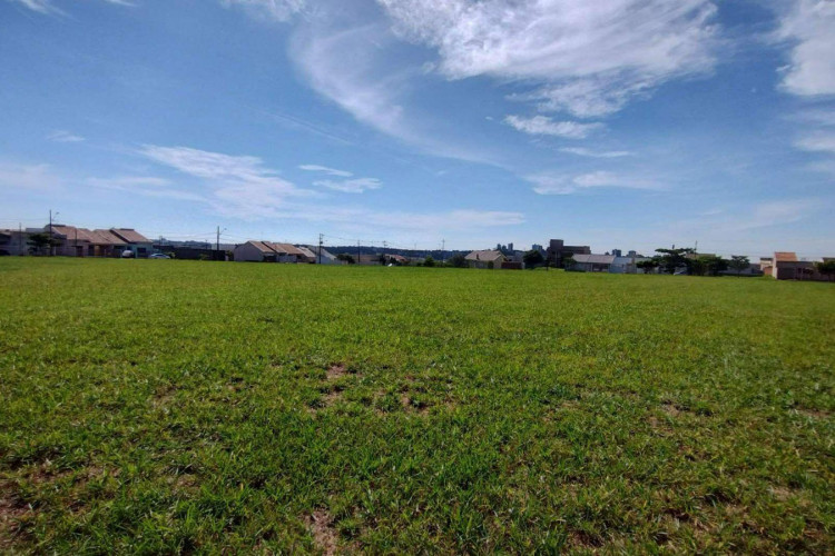 Mais Escolas Paraná: terrenos para 40 novas unidades já estão registrados em nome do Estado