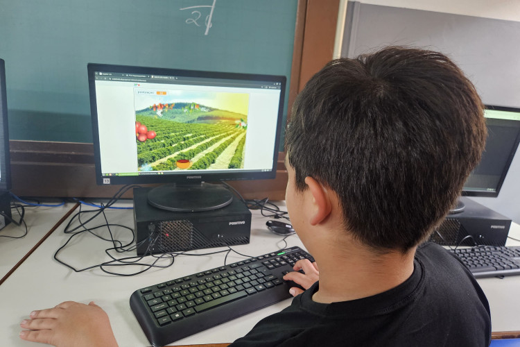 50 anos da geada negra inspira aulas e projetos históricos na rede estadual do Paraná