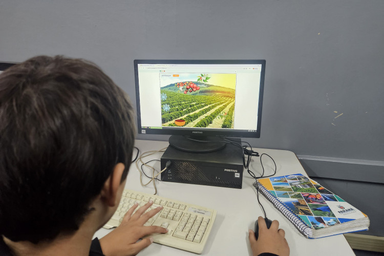 50 anos da geada negra inspira aulas e projetos históricos na rede estadual do Paraná