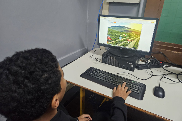 50 anos da geada negra inspira aulas e projetos históricos na rede estadual do Paraná