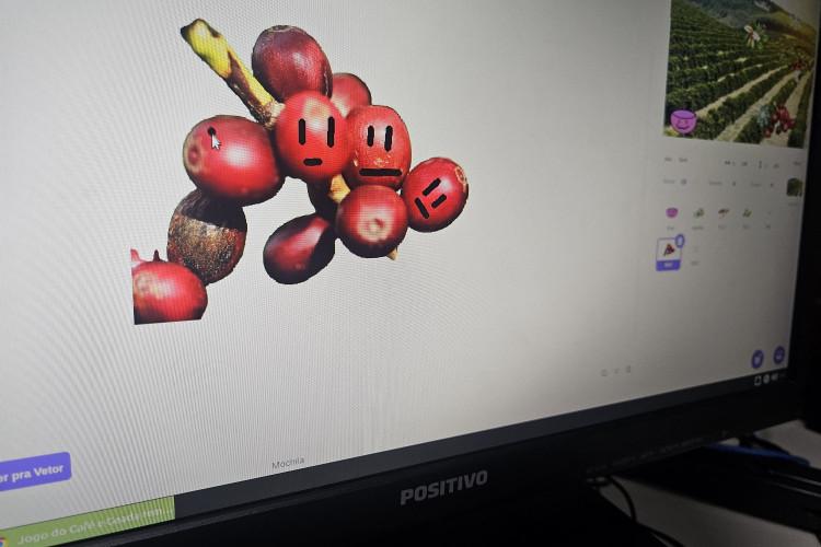 50 anos da geada negra inspira aulas e projetos históricos na rede estadual do Paraná