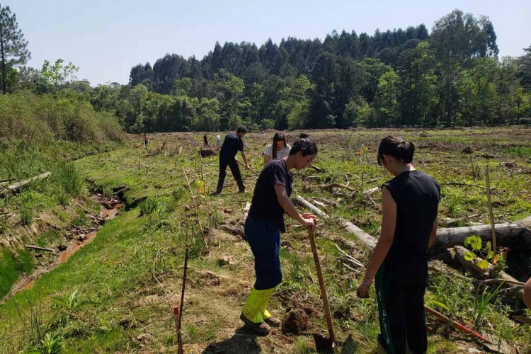 guardioes_da_conservacao