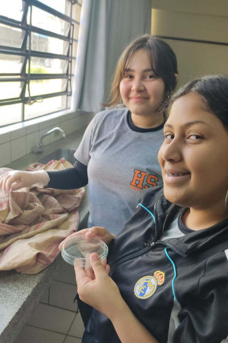 Alunos do Paraná chegam à semifinal de competição com projeto de sabonete antipulgas