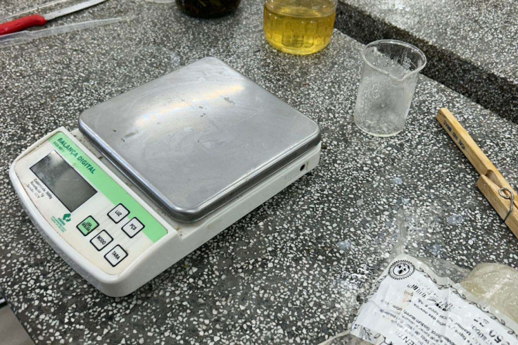 Alunos do Paraná chegam à semifinal de competição com projeto de sabonete antipulgas