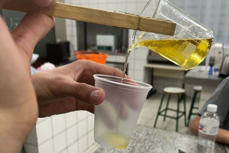 Alunos do Paraná chegam à semifinal de competição com projeto de sabonete antipulgas