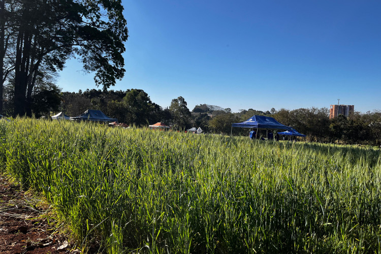 Projetos de colégio agrícola de Apucarana ganham destaque na Expo Agri 2025
