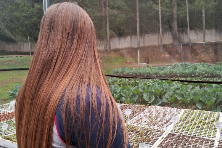 Alunos em cursos técnicos na rede estadual crescem 350% com recorde em 2025