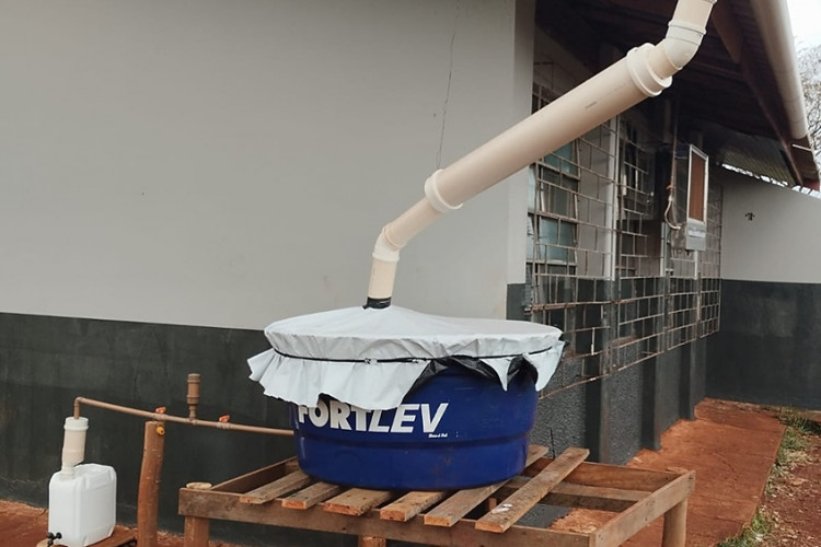 Bibliotecas, hortas e merenda inteligente: alunos da rede inovam com ideias sustentáveis