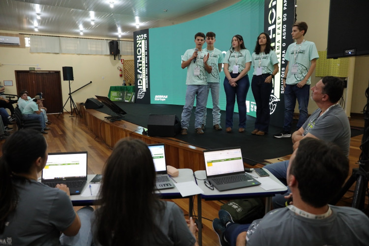 Coleira inteligente para suínos criada por alunos vence Ideathon de Francisco Beltrão