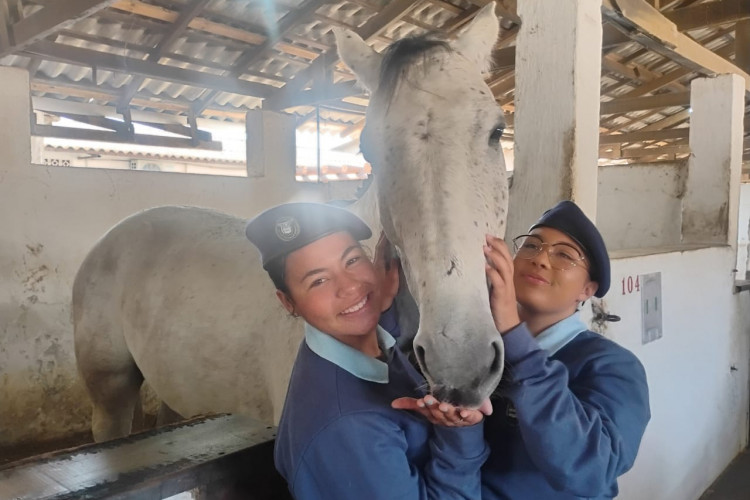 Colégios cívico-militares se preparam para desfiles de 7 de Setembro
