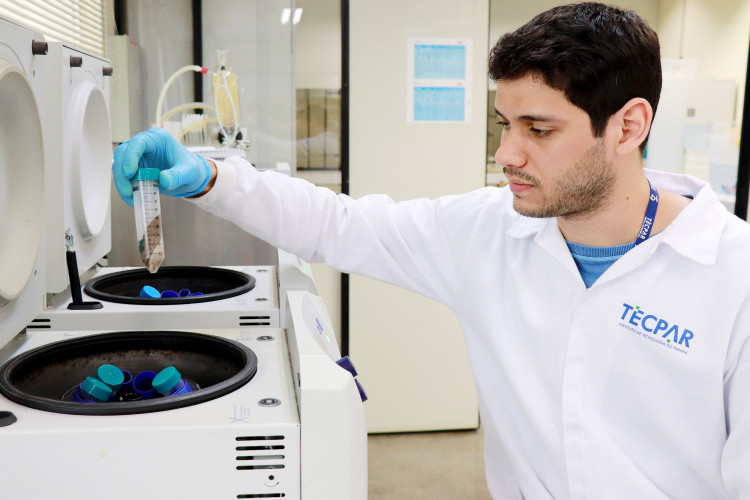 Alimentação escolar: controle rigoroso garante cardápios nutritivos e saudáveis no Paraná