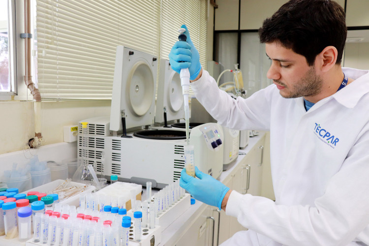 Alimentação escolar: controle rigoroso garante cardápios nutritivos e saudáveis no Paraná