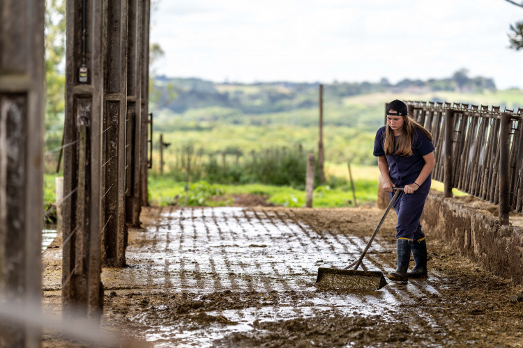 Paraná fortalece ensino agrícola com tecnologia, cursos técnicos e inovação aplicada