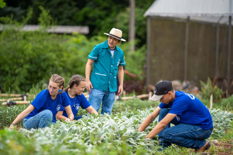 Paraná fortalece ensino agrícola com tecnologia, cursos técnicos e inovação aplicada
