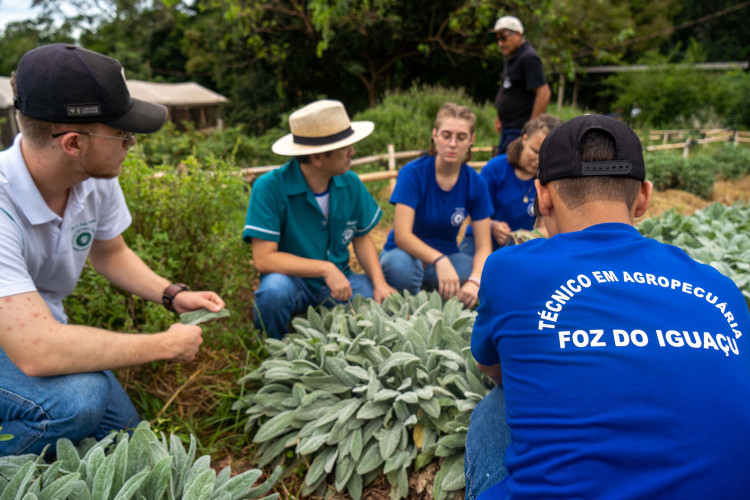 Paraná fortalece ensino agrícola com tecnologia, cursos técnicos e inovação aplicada
