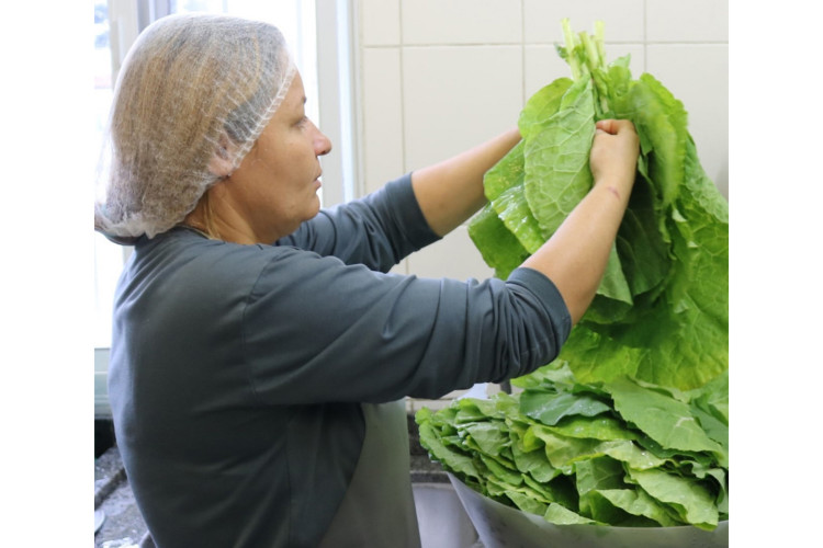 17 mil toneladas de alimentos da agricultura familiar abastecem escolas do Paraná anualmente