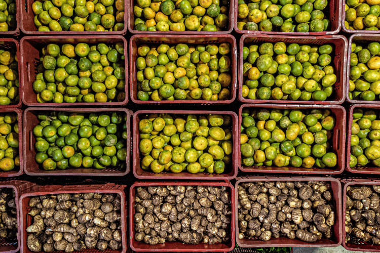 17 mil toneladas de alimentos da agricultura familiar abastecem escolas do Paraná anualmente