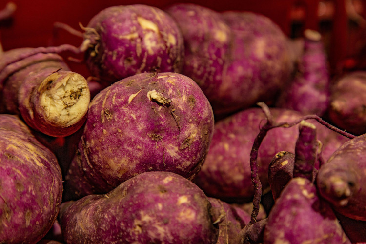 17 mil toneladas de alimentos da agricultura familiar abastecem escolas do Paraná anualmente