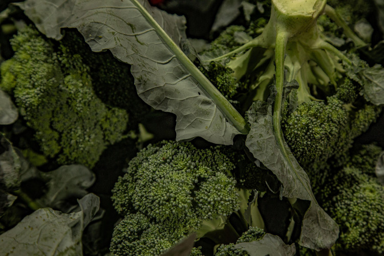 17 mil toneladas de alimentos da agricultura familiar abastecem escolas do Paraná anualmente