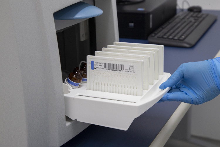 Alimentação escolar: controle rigoroso garante cardápios nutritivos e saudáveis no Paraná