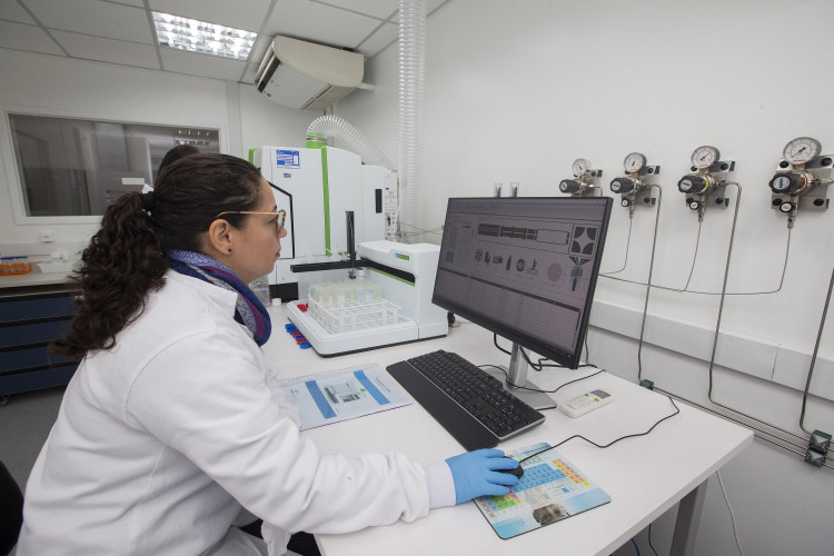 Alimentação escolar: controle rigoroso garante cardápios nutritivos e saudáveis no Paraná