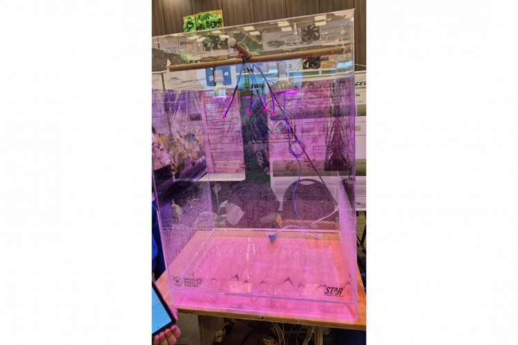 Paraná Faz Ciência reúne 700 alunos da rede em mostra inédita de projetos científicos