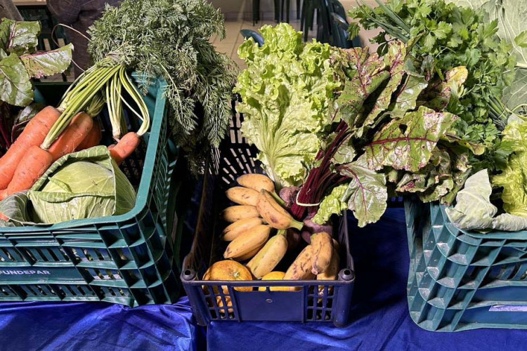 Dia Mundial da Alimentação: 2 mil alunos têm cardápio adaptado nas escolas estaduais