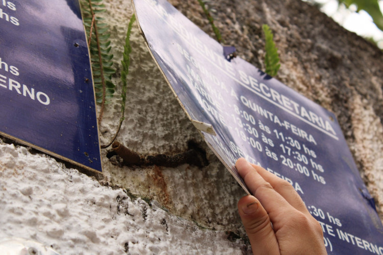 Abelhas sem ferrão transformam escolas do Paraná em laboratórios ambientais