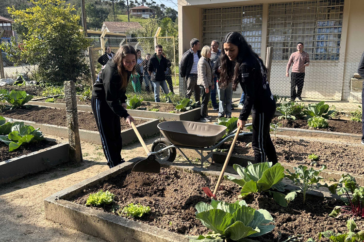 Hortas nutrem novos saberes e escolhas saudáveis nas escolas estaduais do Paraná