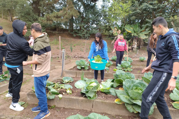 Hortas nutrem novos saberes e escolhas saudáveis nas escolas estaduais do Paraná