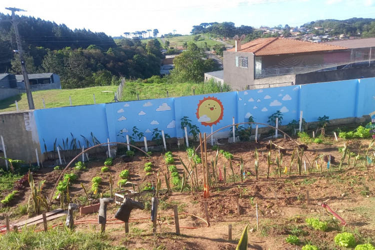 Hortas nutrem novos saberes e escolhas saudáveis nas escolas estaduais do Paraná
