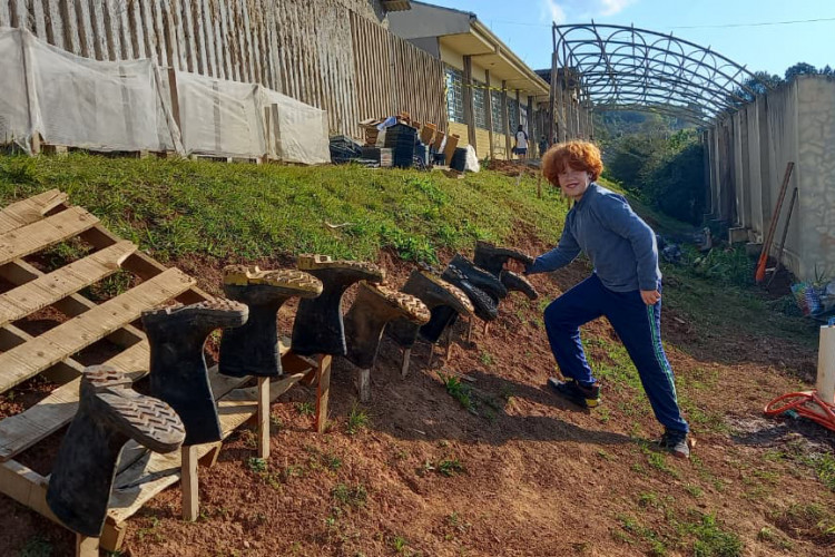 Hortas nutrem novos saberes e escolhas saudáveis nas escolas estaduais do Paraná