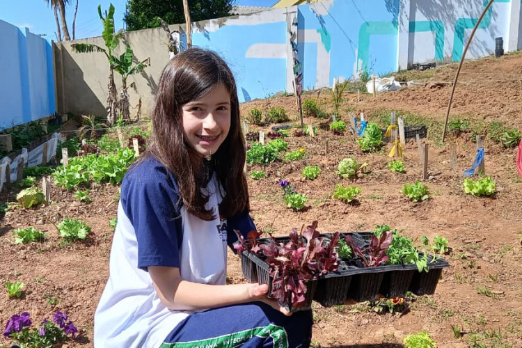 Hortas nutrem novos saberes e escolhas saudáveis nas escolas estaduais do Paraná