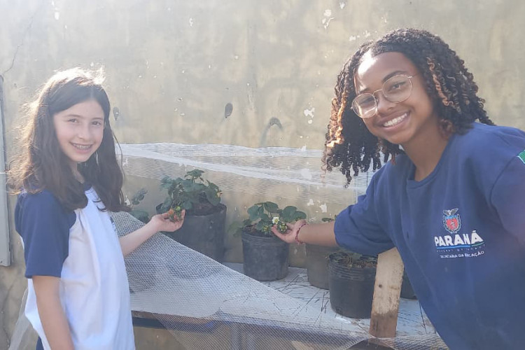 Hortas nutrem novos saberes e escolhas saudáveis nas escolas estaduais do Paraná