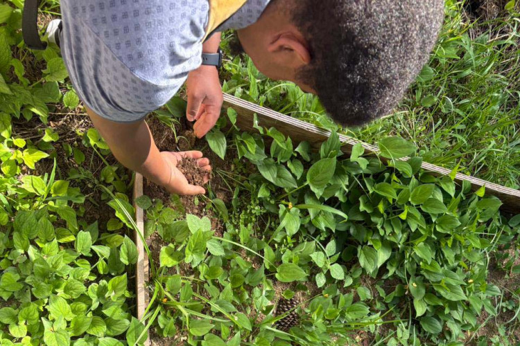 Alunos criam “Canteiro de Africanidades” para aprender sobre cultura afro-brasileira