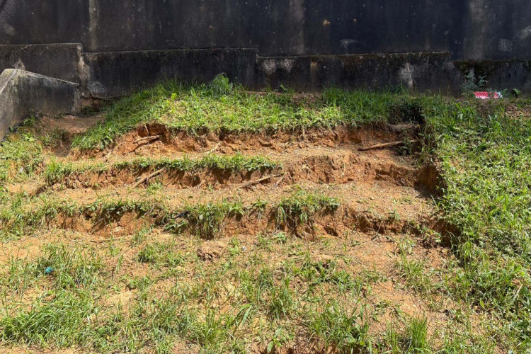 Alunos criam “Canteiro de Africanidades” para aprender sobre cultura afro-brasileira
