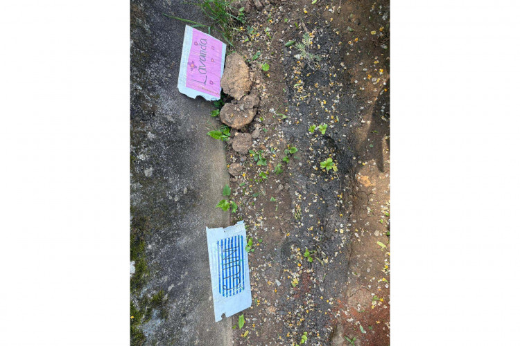 Alunos criam “Canteiro de Africanidades” para aprender sobre cultura afro-brasileira