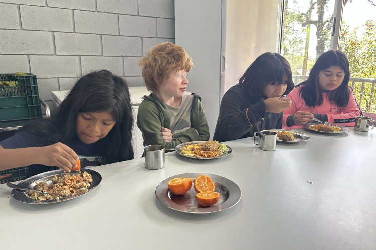 Alimentação escolar no Paraná alia tradições, pesquisa e segurança nutricional