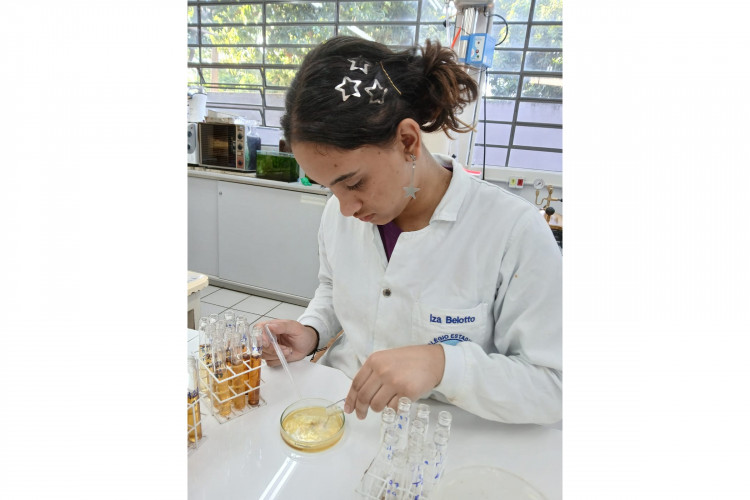 Ciência e pesquisa: projetos da rede estadual do Paraná são destaques na Febrace 2025