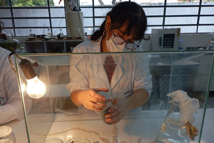 Ciência e pesquisa: projetos da rede estadual do Paraná são destaques na Febrace 2025